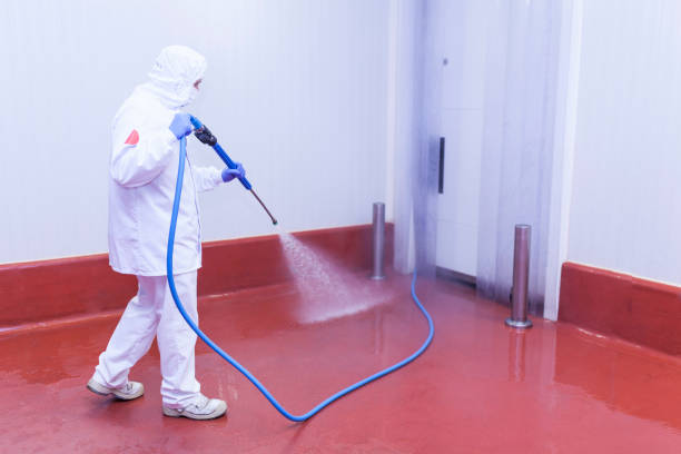 Best Pre-Holiday Cleaning  in Clayton, AL